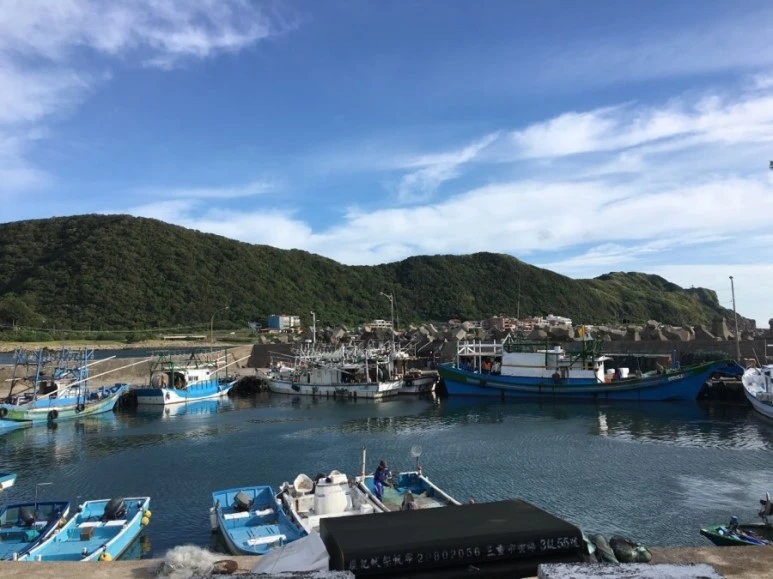 attachImage_340909507.jpeg?type=w773