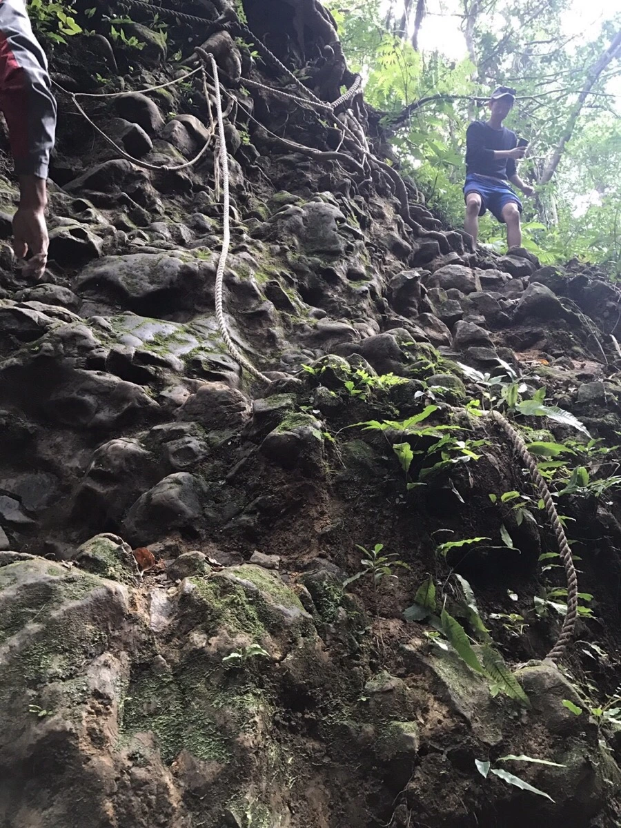 IMG_4066.jpg?type=w966