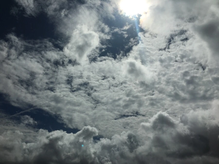 IMG_4950.JPG?type=w966