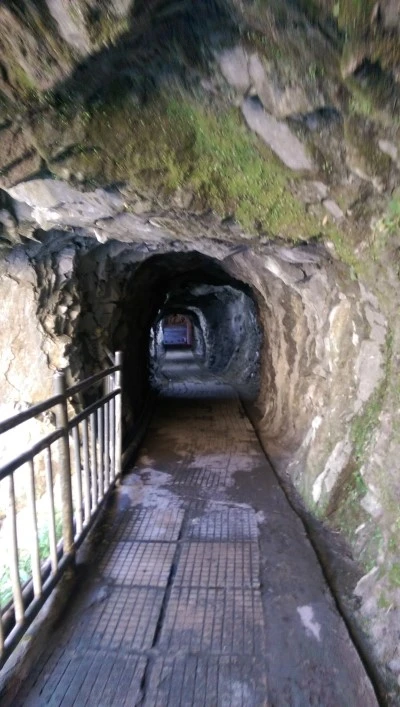 IMAG3542.jpg?type=w2