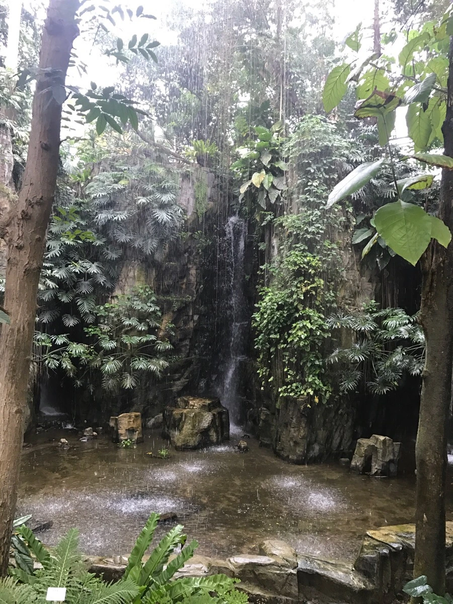 IMG_0395.jpg?type=w966