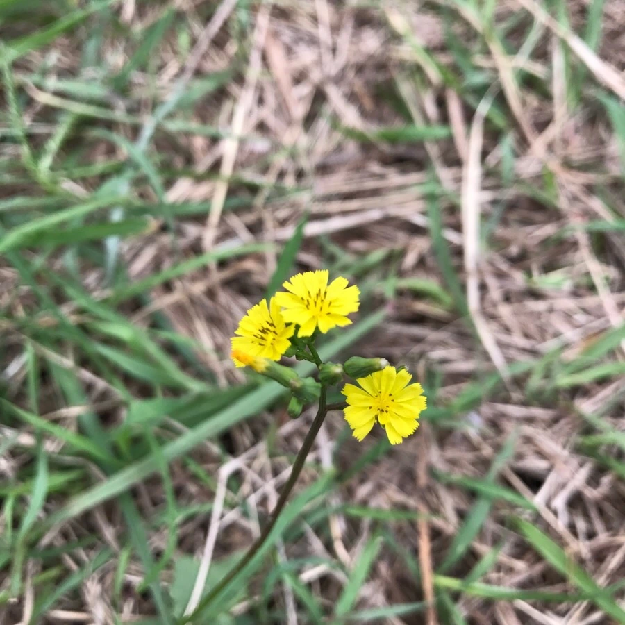 IMG_3620.jpg?type=w966