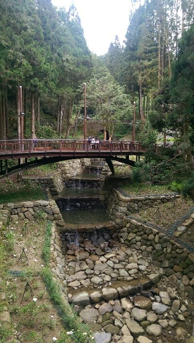 IMAG4932.jpg?type=w773