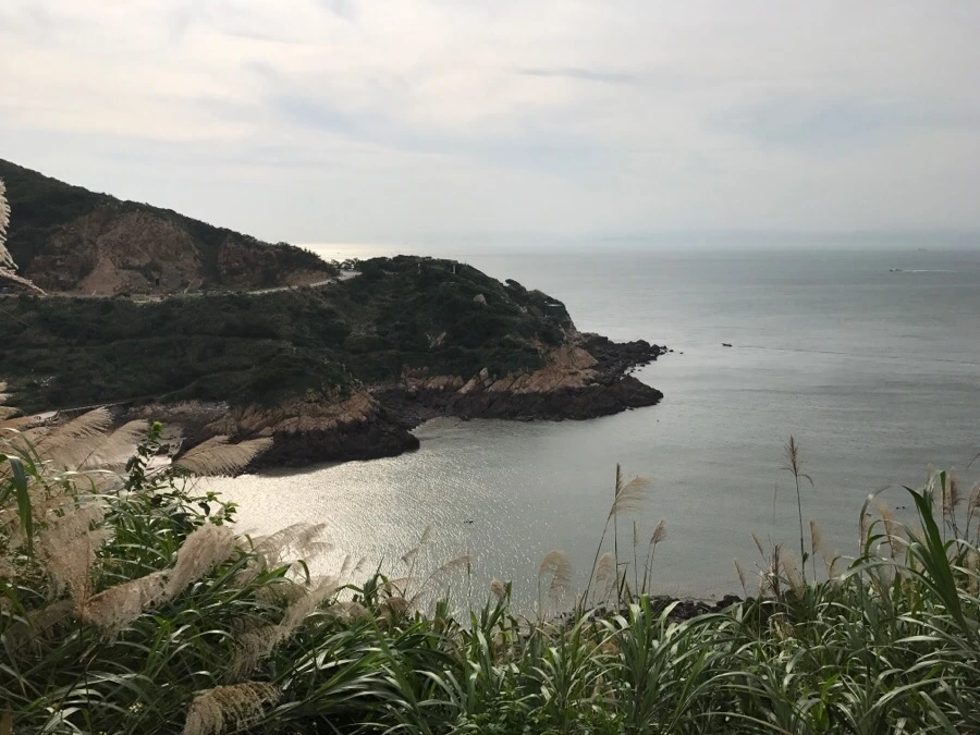 IMG_8198.jpg?type=w966