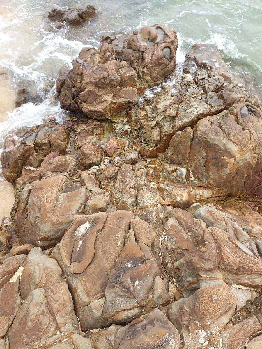 20190608_110321.jpg?type=w1