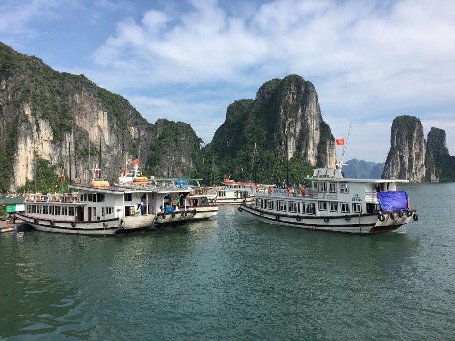 IMG_3156.JPG?type=w1