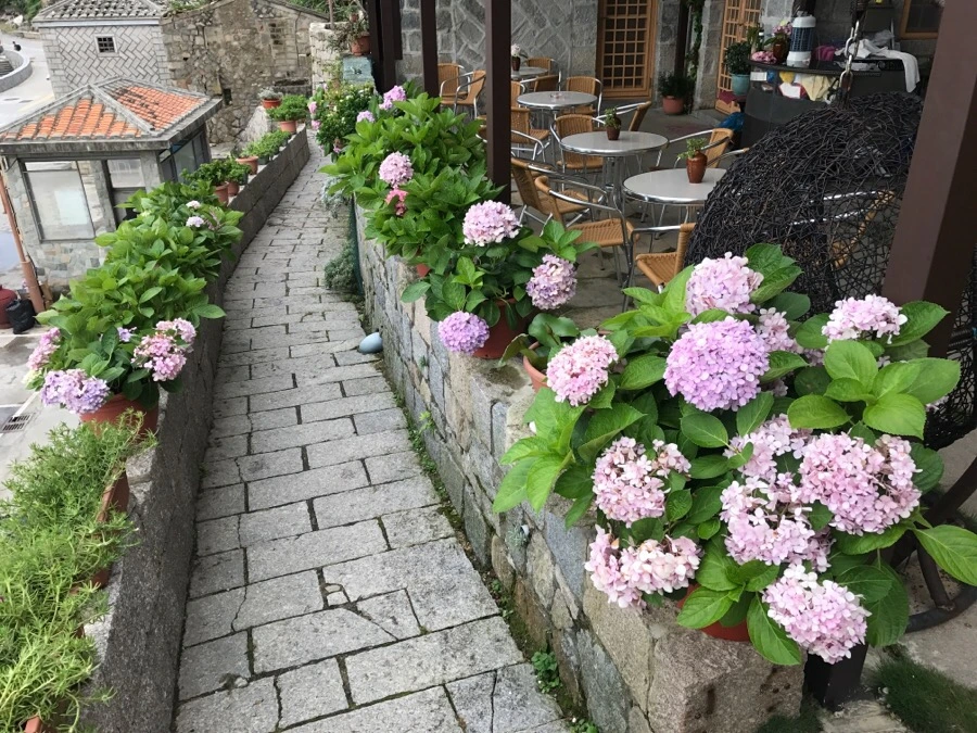 IMG_8541.jpg?type=w966