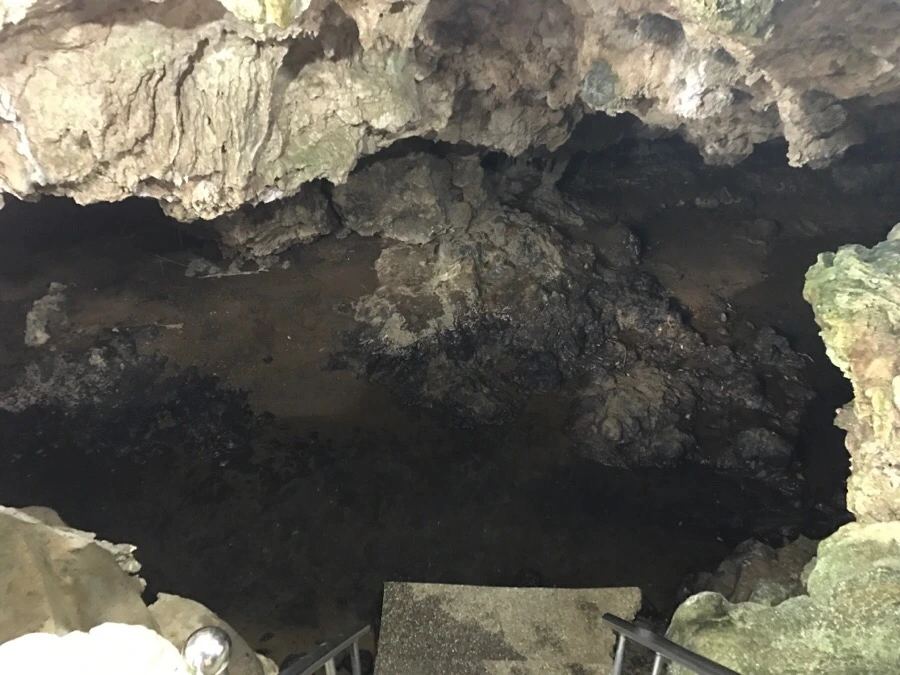 IMG_1636.jpg?type=w966