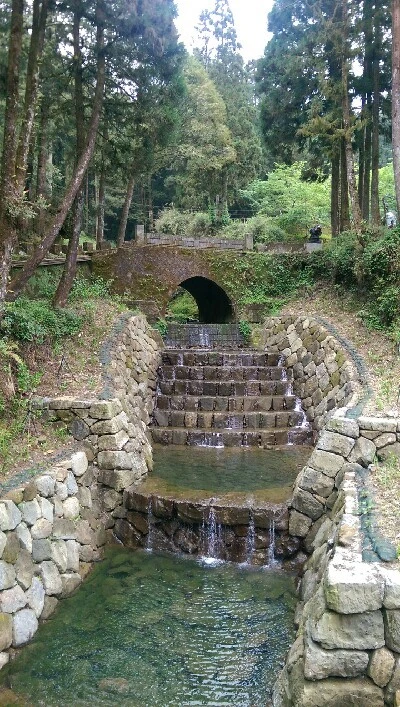 IMAG4933.jpg?type=w773