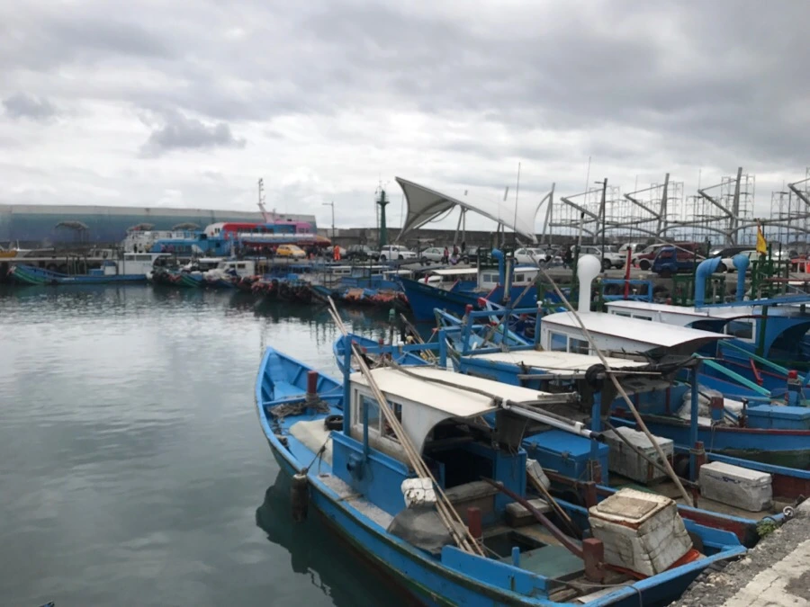 IMG_1382.jpg?type=w966