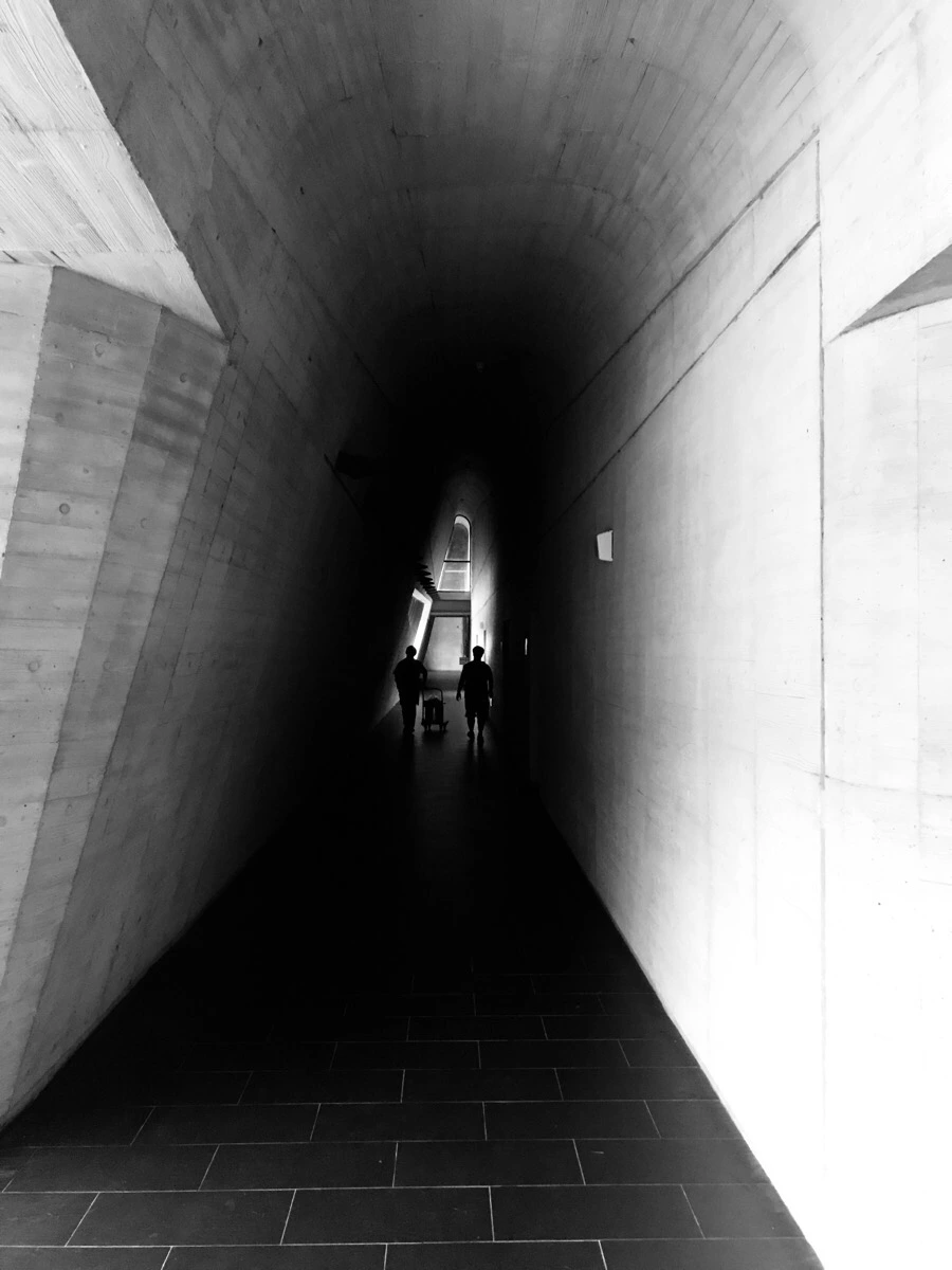 IMG_3115.jpg?type=w966