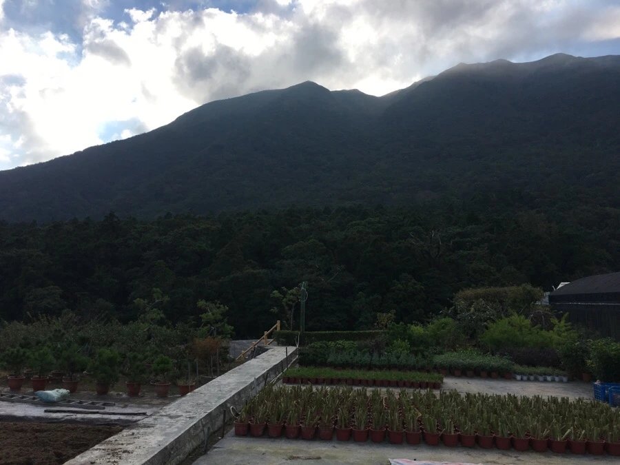 IMG_5381.JPG?type=w966