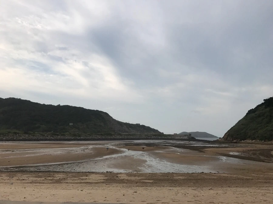 IMG_8588.jpg?type=w966