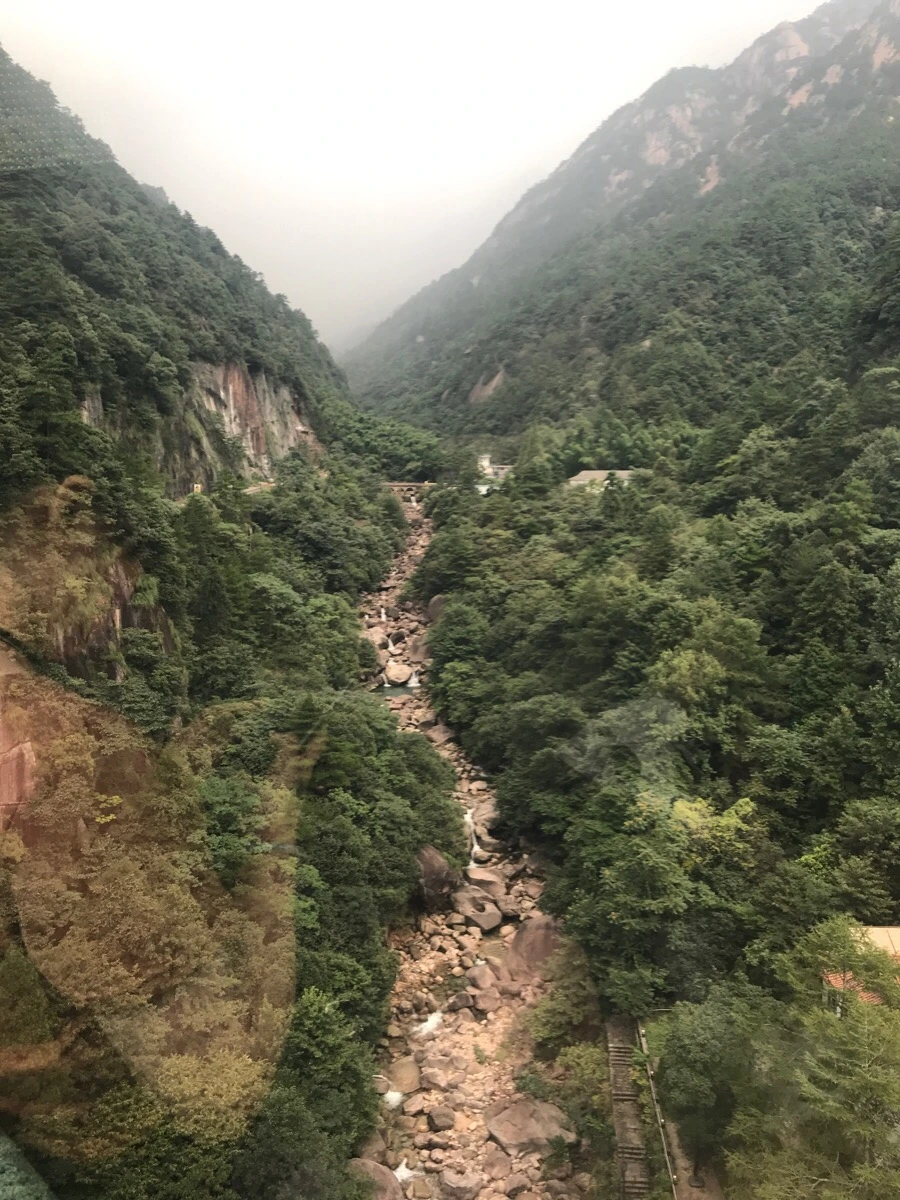 IMG_0952.jpg?type=w966