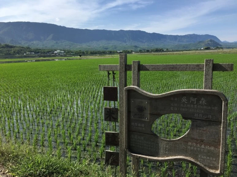 attachImage_2249348972.jpeg?type=w773