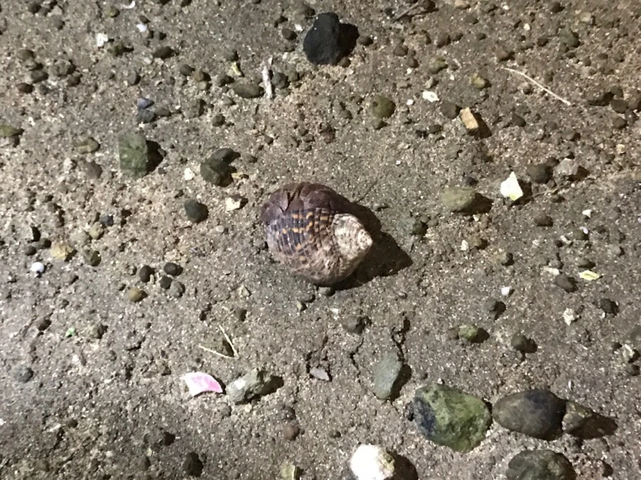 IMG_1452.jpg?type=w966