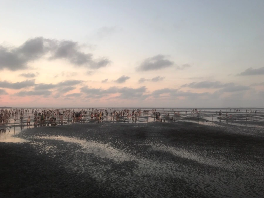 IMG_3334.jpg?type=w966