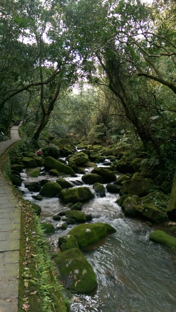 IMAG4145.jpg?type=w2