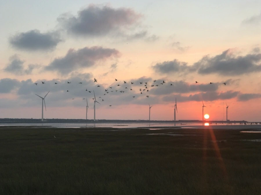 IMG_3330.jpg?type=w966