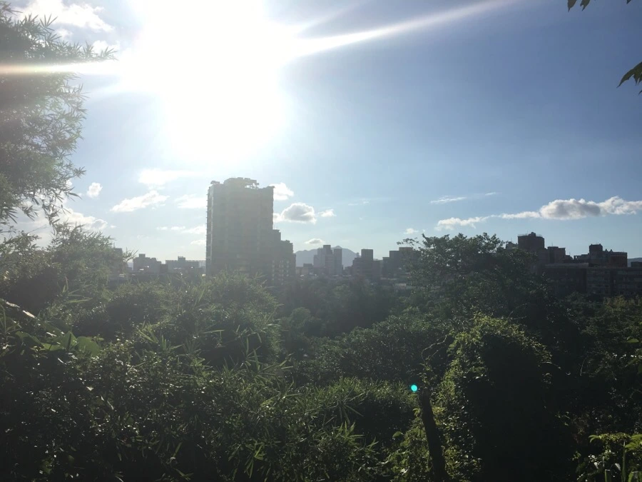 attachImage_2311804651.jpeg?type=w966