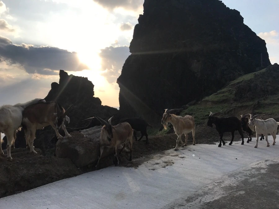 IMG_3856.jpg?type=w966