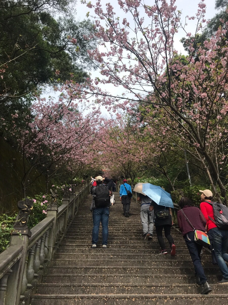 IMG_0018.jpg?type=w966