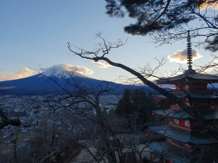 20190126_164417.jpg?type=w1