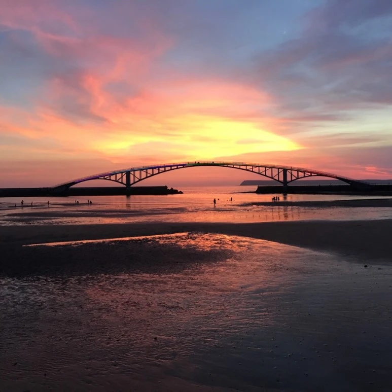 attachImage_2172697717.jpeg?type=w773