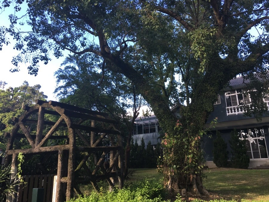 attachImage_3671907408.jpeg?type=w966