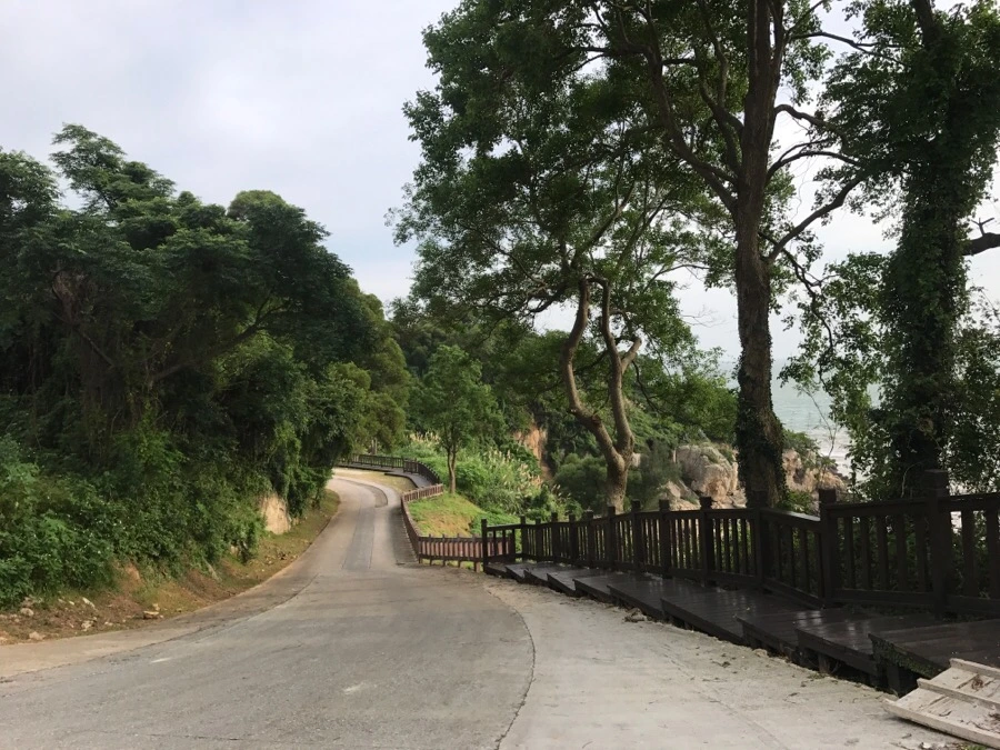 IMG_8210.jpg?type=w966