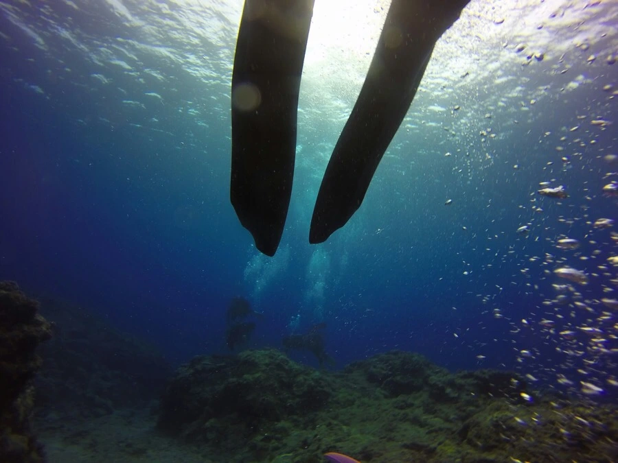 IMG_3576.jpg?type=w966