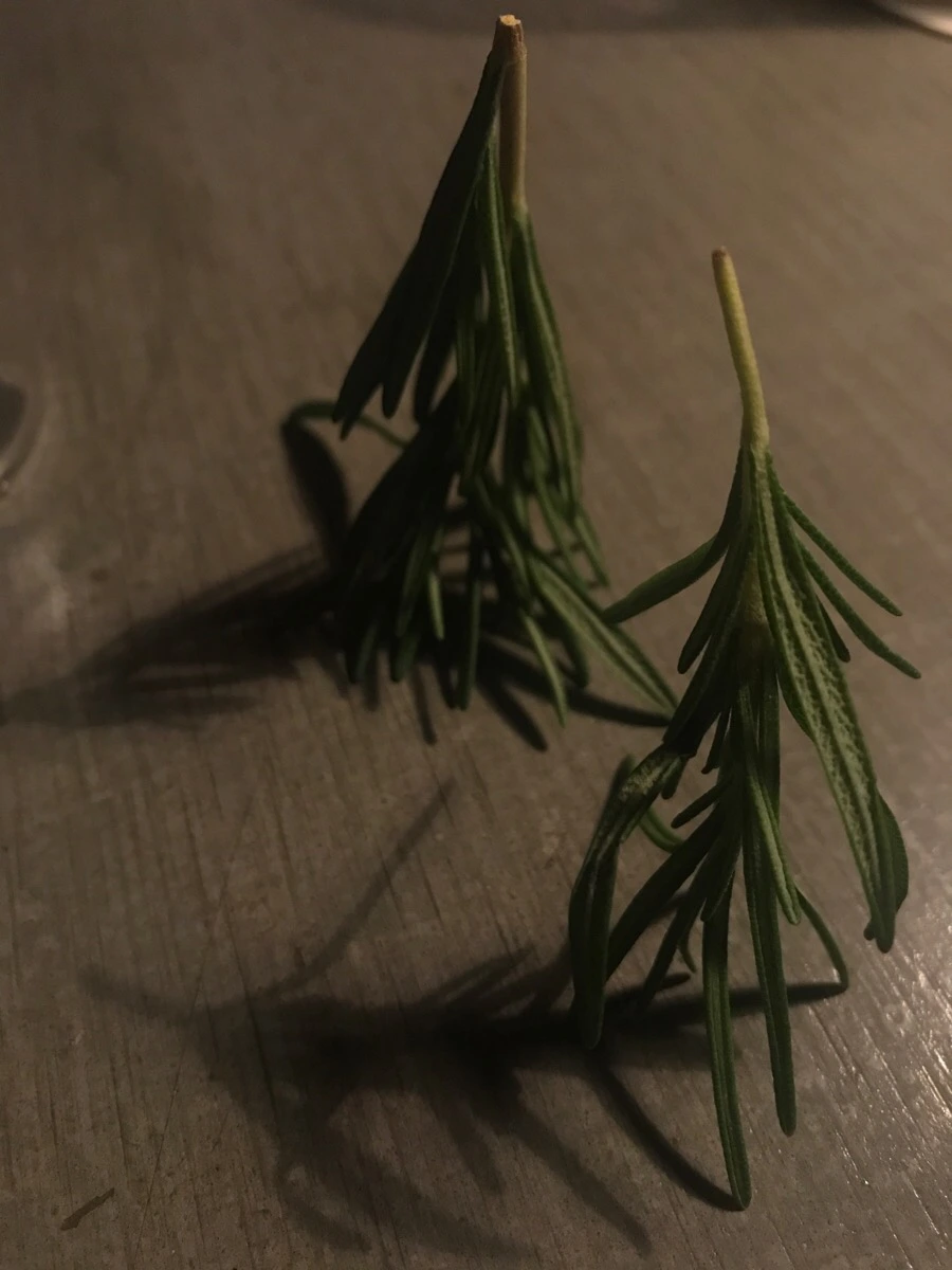 IMG_7081.jpg?type=w966