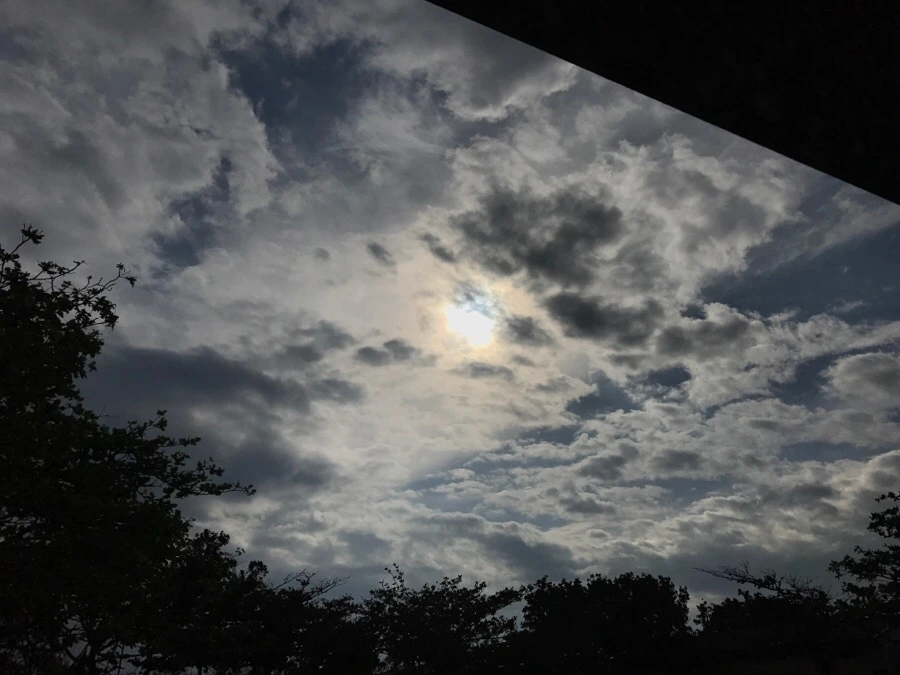 IMG_3259.jpg?type=w966