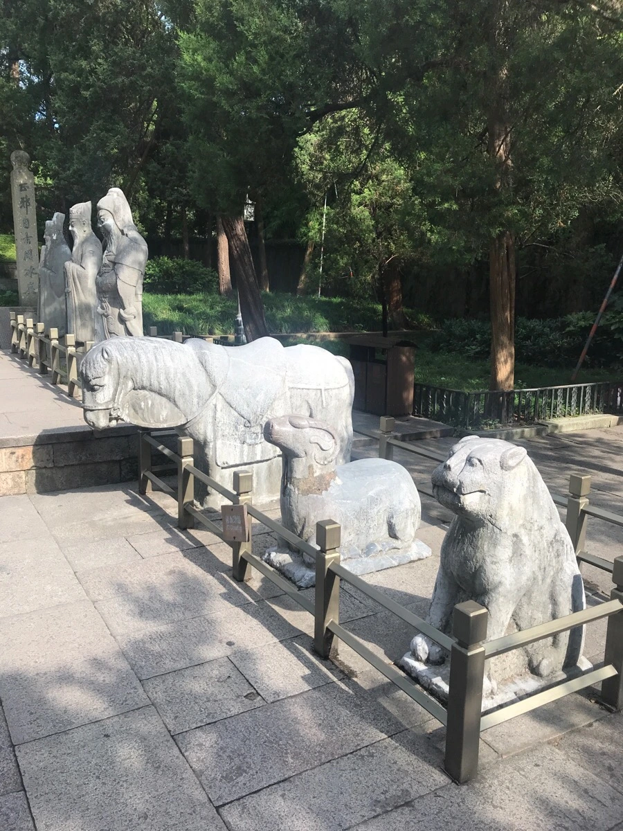 IMG_1120.jpg?type=w966