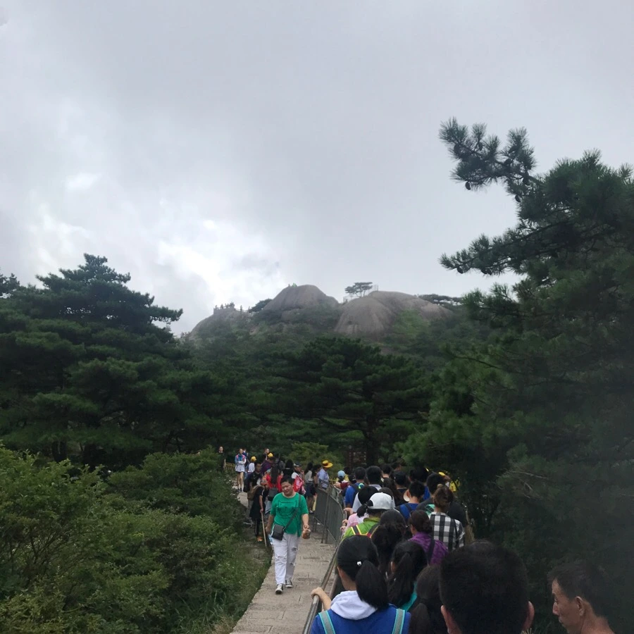 IMG_0785.jpg?type=w966