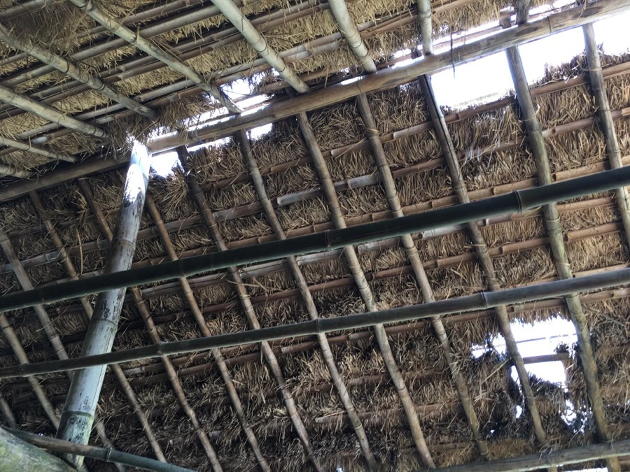 IMG_3571.JPG?type=w1