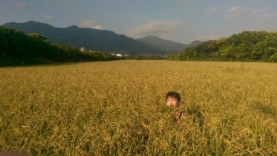 IMAG6242.jpg?type=w773