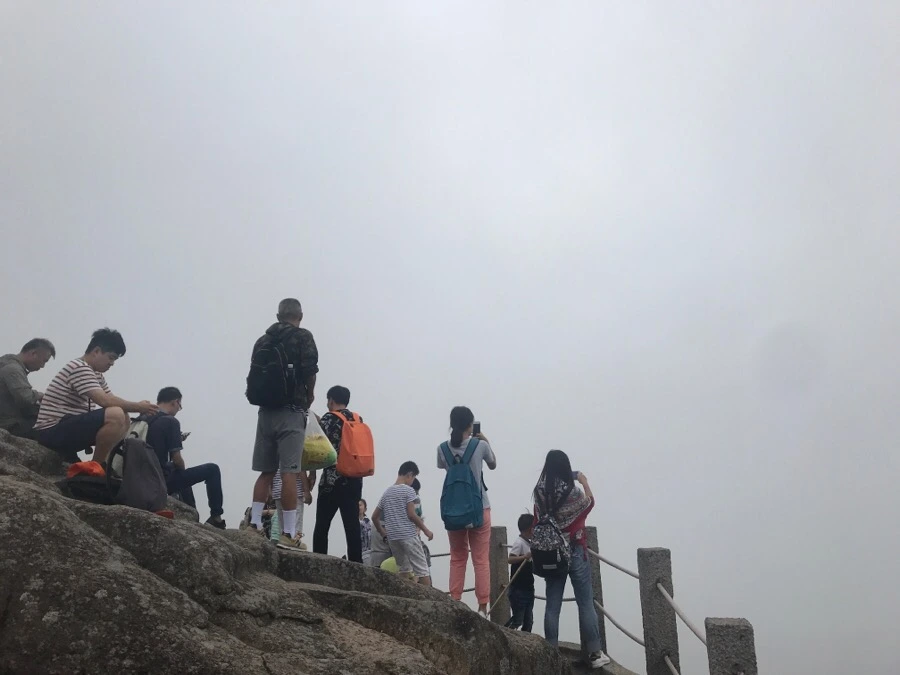 IMG_0774.jpg?type=w966