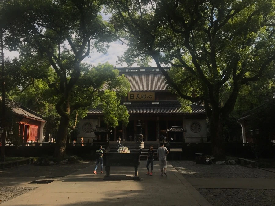 IMG_1113.jpg?type=w966