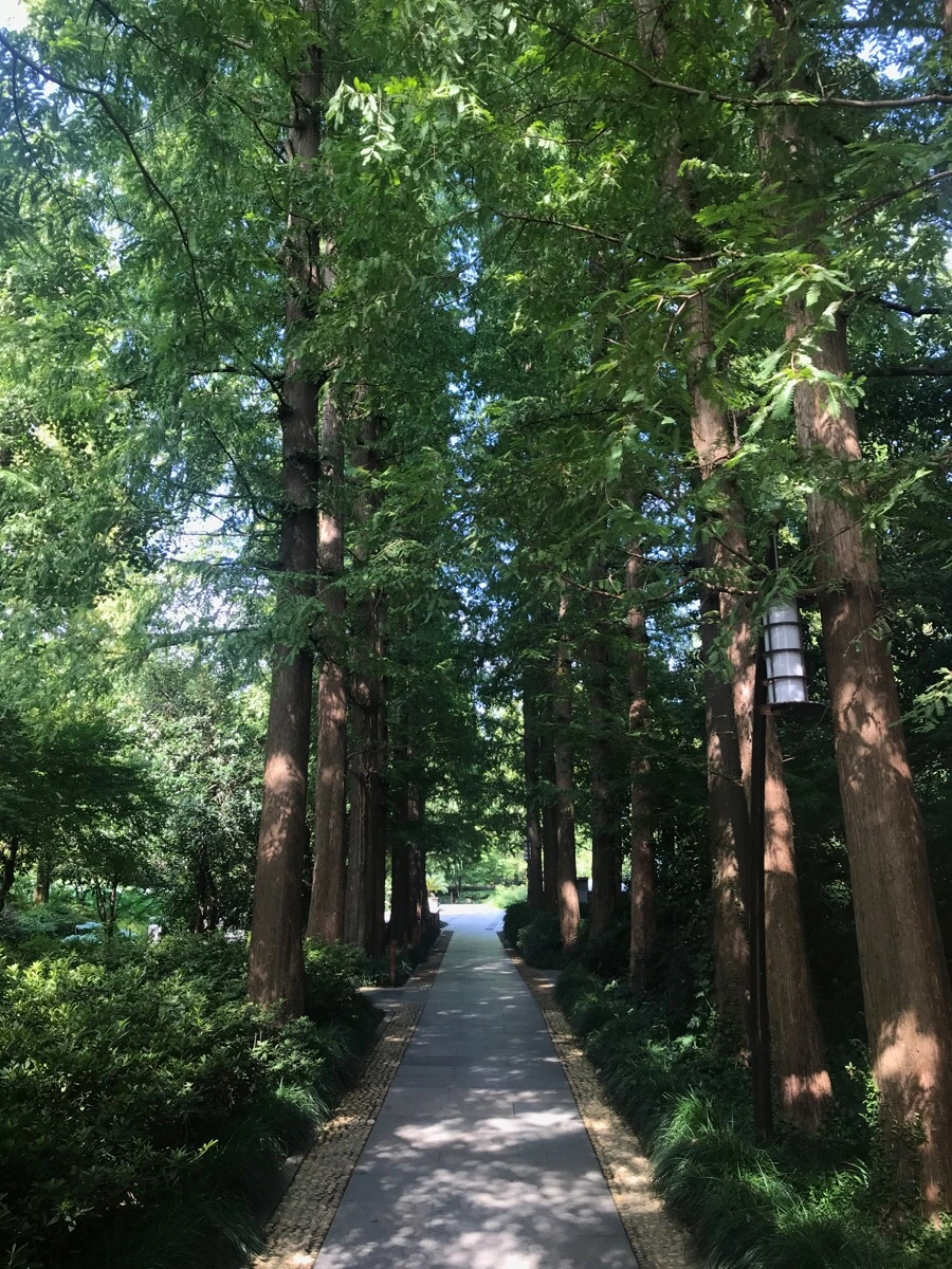 IMG_1155.jpg?type=w1