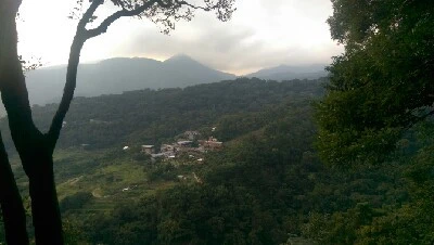 IMAG6005.jpg?type=w773