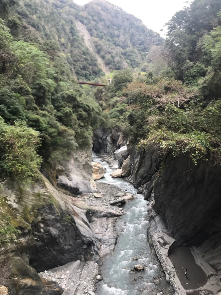 IMG_2090.jpg?type=w966