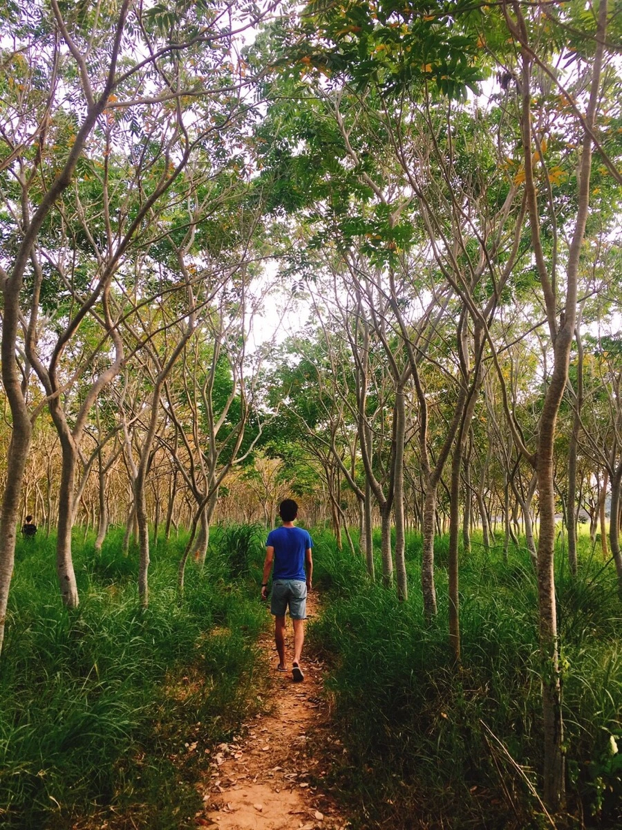 IMG_3479.jpg?type=w966