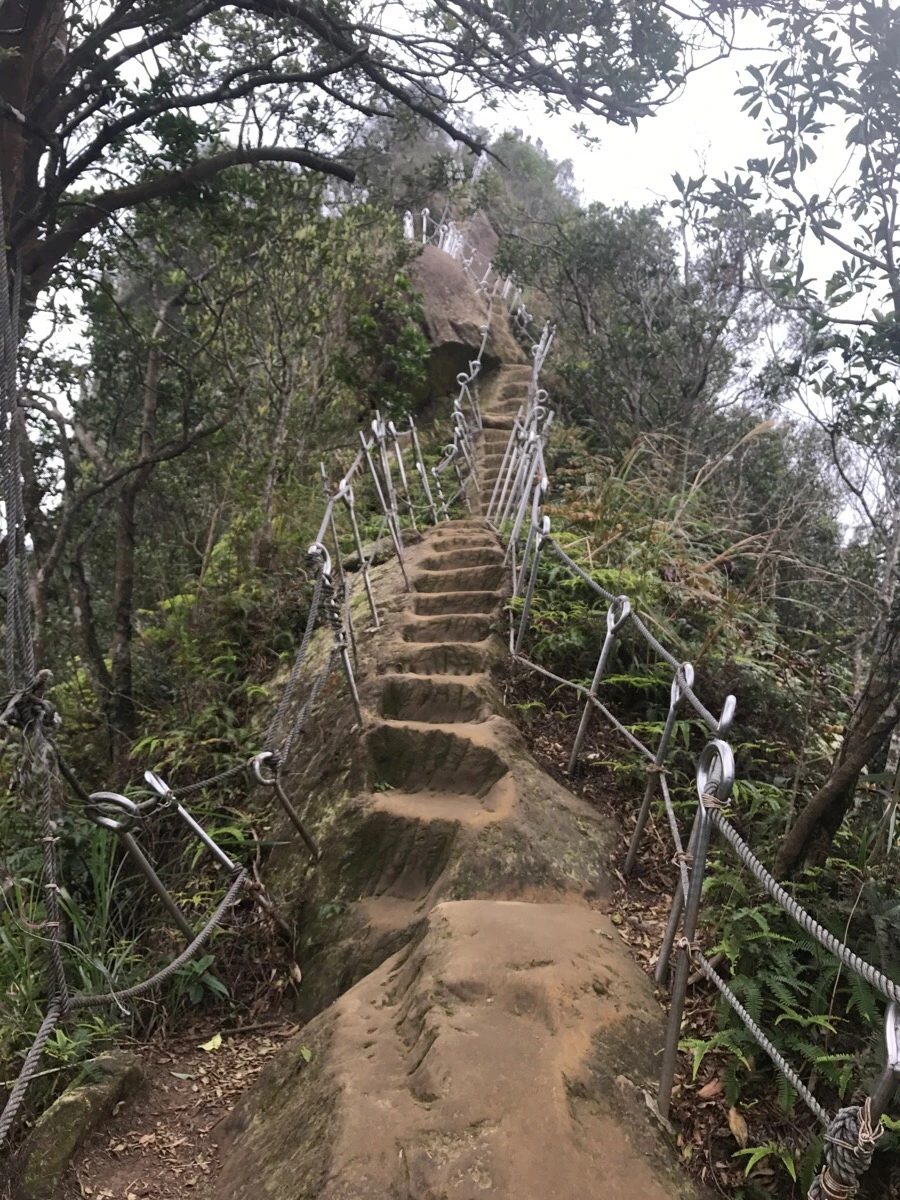 IMG_1064.jpg?type=w966