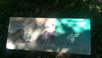 IMAG6223.jpg?type=w773