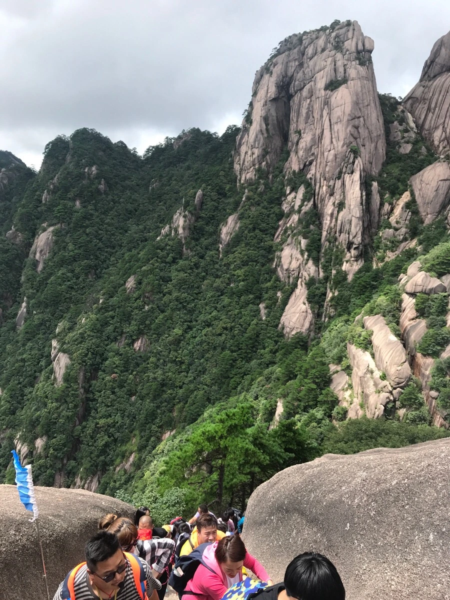 IMG_0858.jpg?type=w966