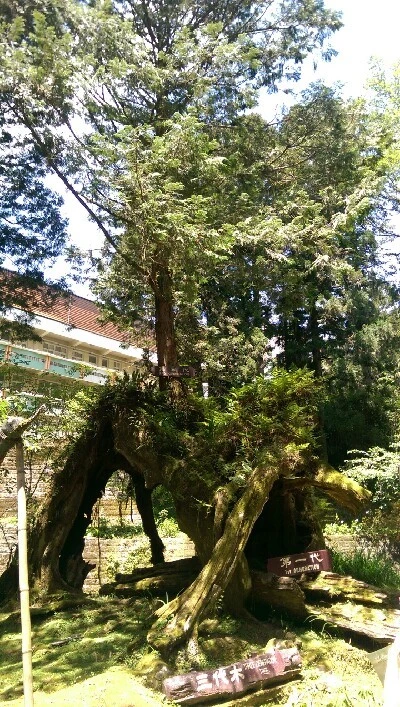 IMAG4899.jpg?type=w773