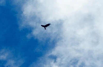 1466404652475.jpg?type=w773