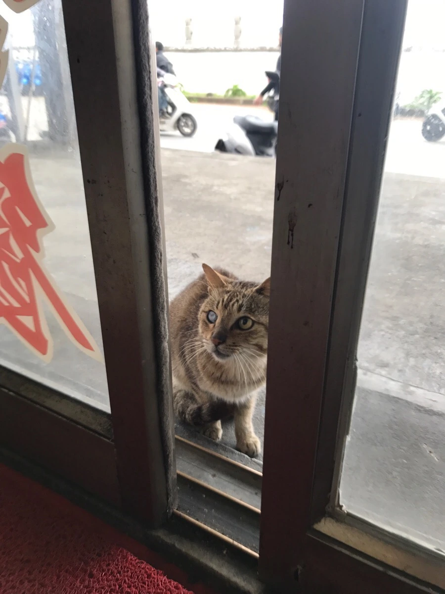 IMG_1772.jpg?type=w966