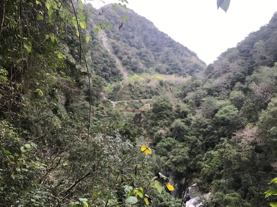 IMG_2081.jpg?type=w966